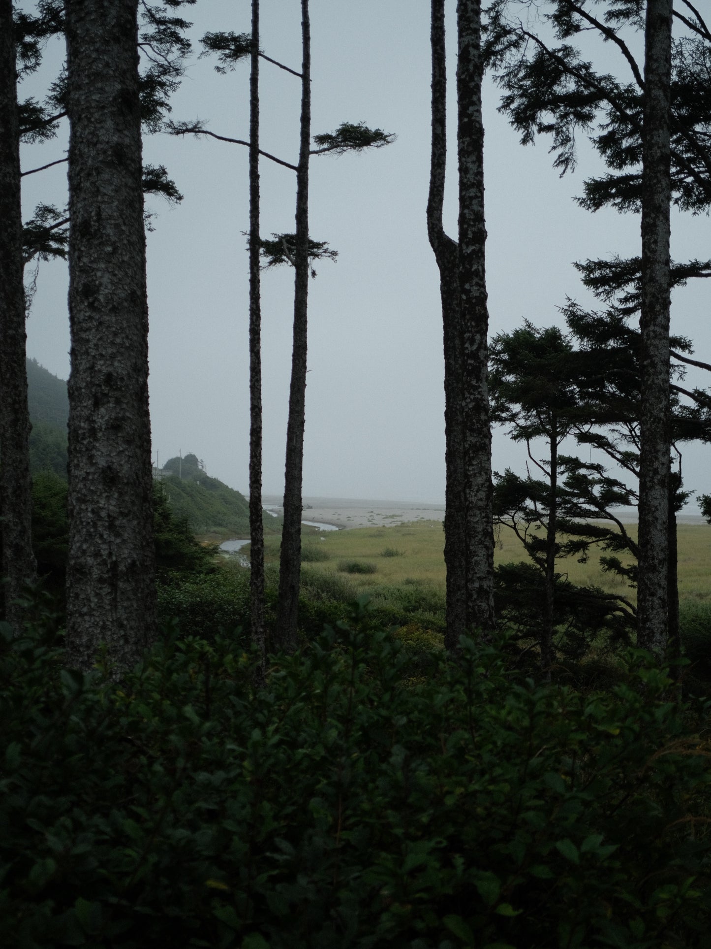 Bozh Editions — Seabrook
