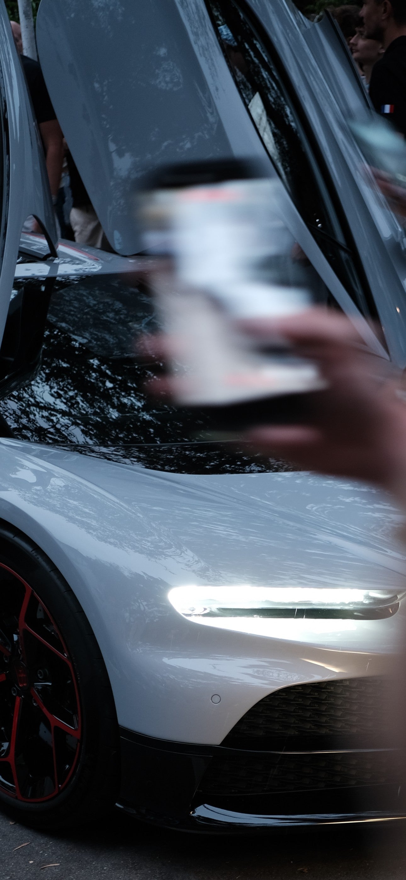 Bozh Editions — Bugatti, Observed