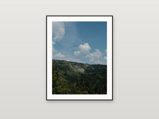 Paradise Valley — printed and framed