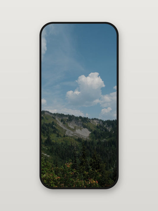 Paradise Valley — digital edition