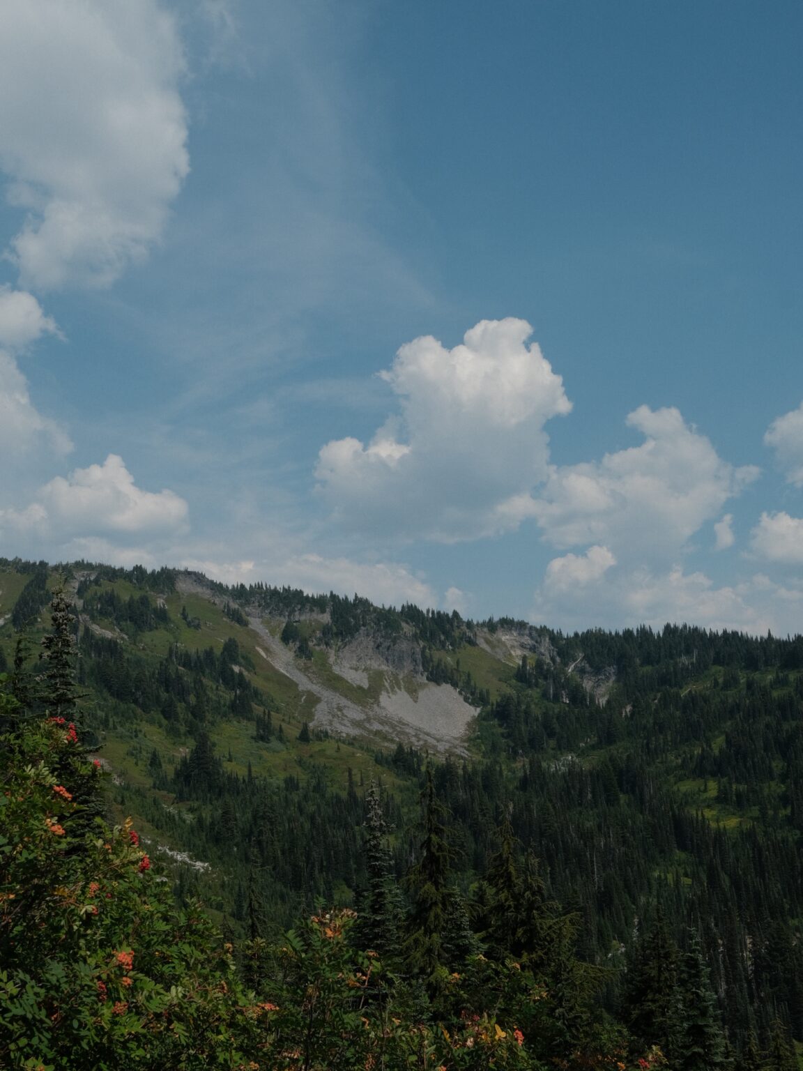 Paradise Valley — photograph by Vadim Bozh