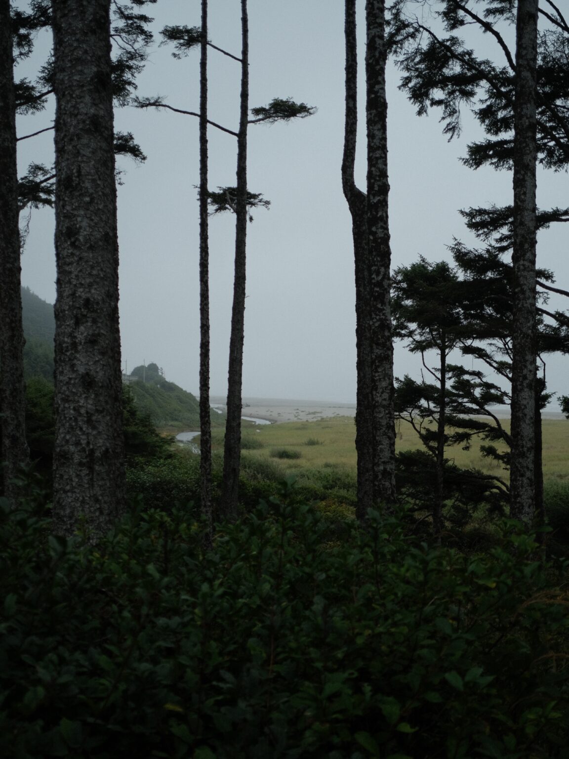 Seabrook — photograph by Vadim Bozh