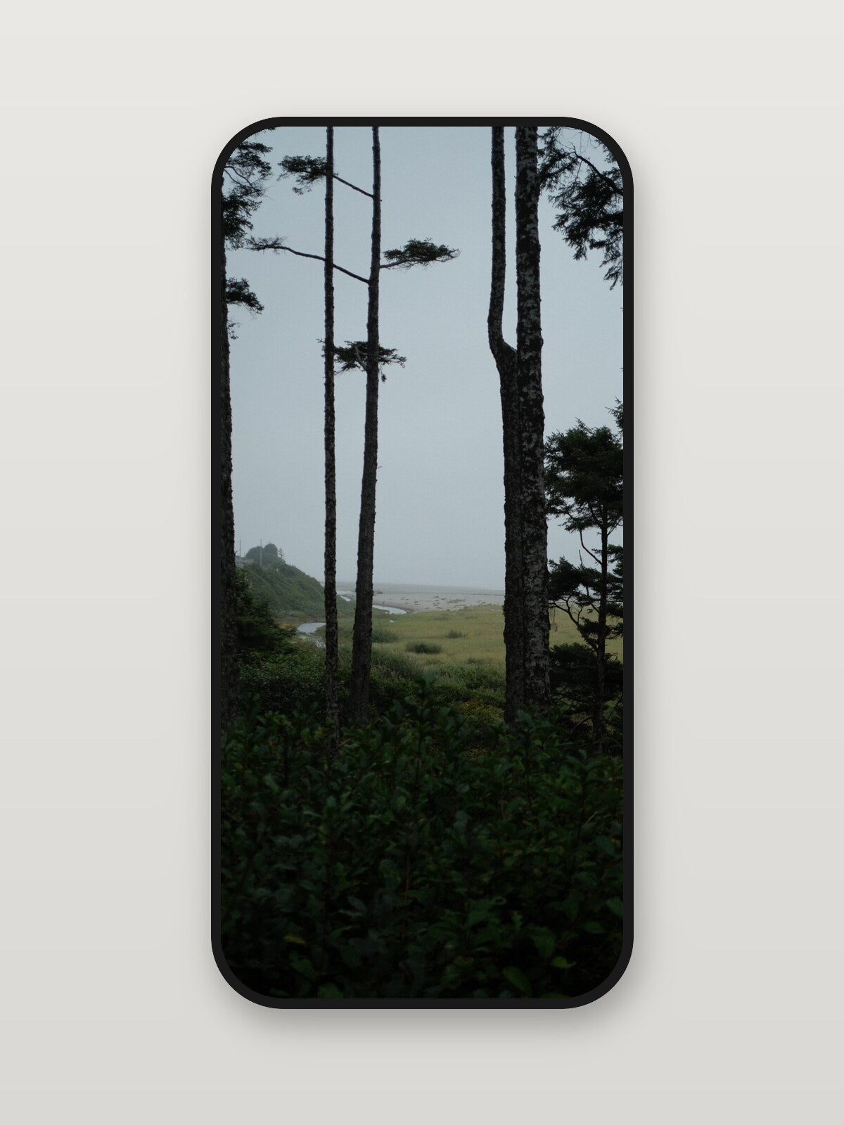 Seabrook — digital edition